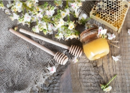 Tout savoir sur le miel de châtaignier