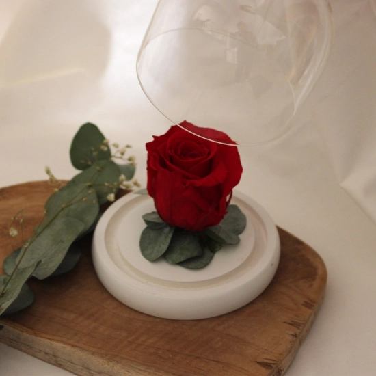 Rose éternelle sous cloche 12 x 14 cm - ISA DÉCO & NATURE