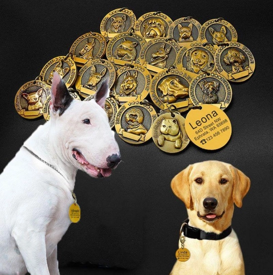 Médaille race de chien doré relief
